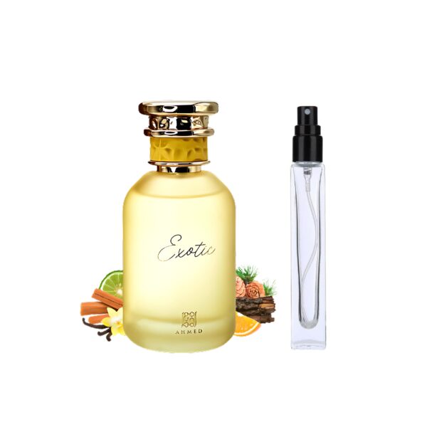 Regular Ahmed Exotic EDP