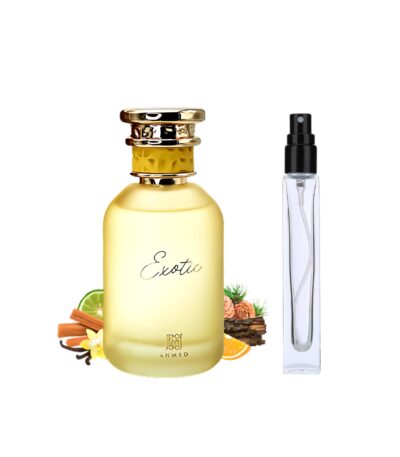 Regular Ahmed Exotic EDP